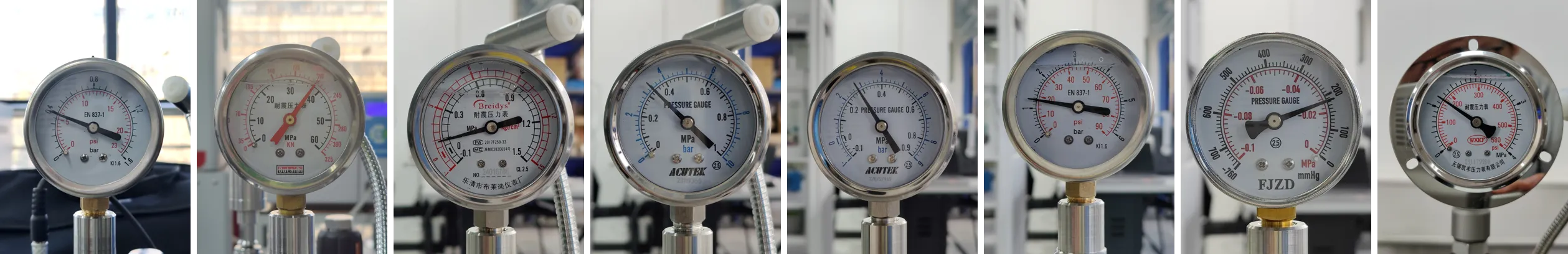 image004.png image004.png